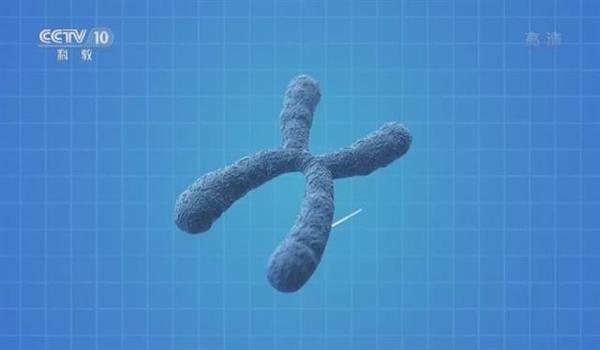 三角洲透视辅助怎么样的（三角洲透视辅助是合法的吗？）